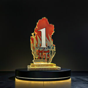 جائزة-من-مؤتمر-حماية-حقوق-العمال